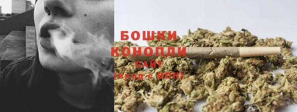 крисы Арсеньев