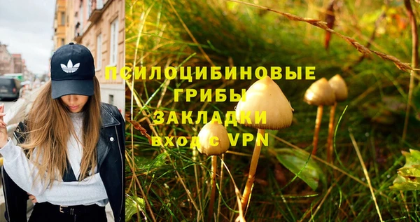 круглые Армянск
