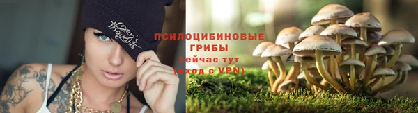 круглые Армянск