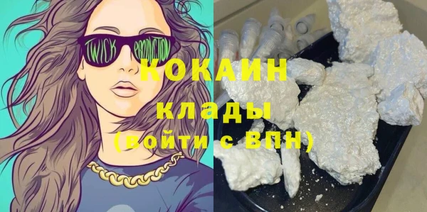 PSILOCYBIN Аркадак