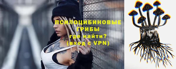гидропоника Алзамай