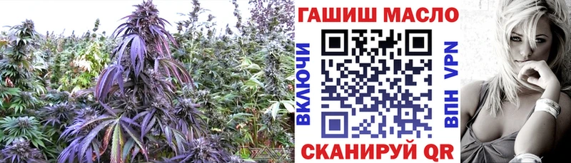 где можно купить   darknet клад  Дистиллят ТГК гашишное масло  Свирск 