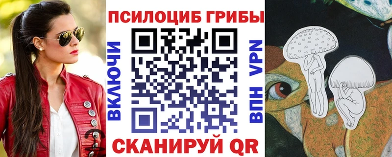 даркнет сайт  Свирск  Галлюциногенные грибы Psilocybine cubensis 